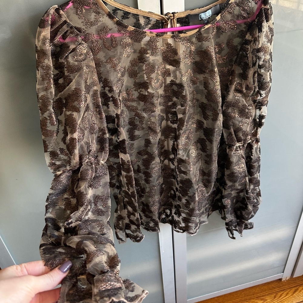 Elegant Brown Sheer Blouse